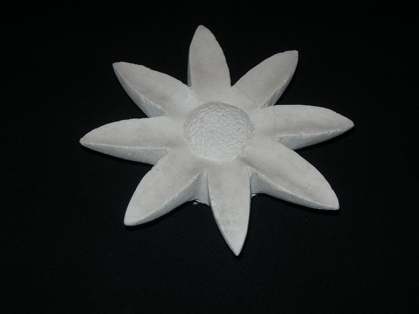 girasole (2)